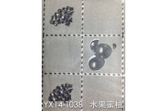 沈阳YX14-TO38 水果蜜柚